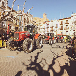 Festa de Sant Antoni i Tres Tombs a Balaguer